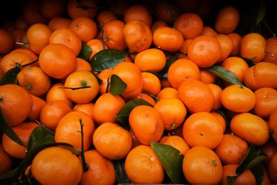 Mandarina