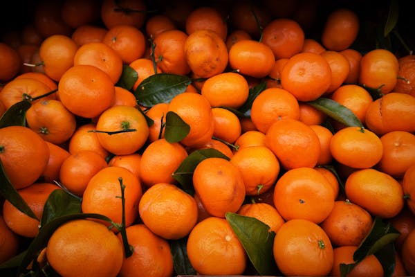 Jeruk Mandarin