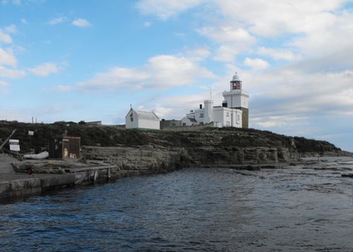 Free stock photo of bird sanctuary, coquet island, england Stock Photo