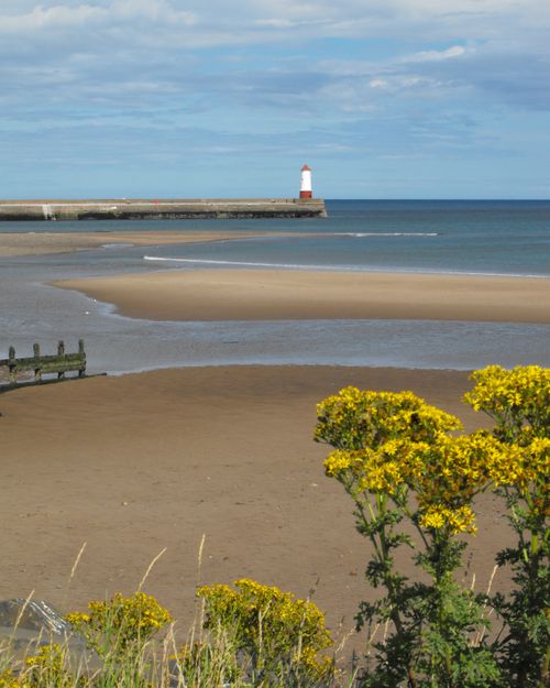 Free stock photo of beach, berwick on tweed, england Stock Photo