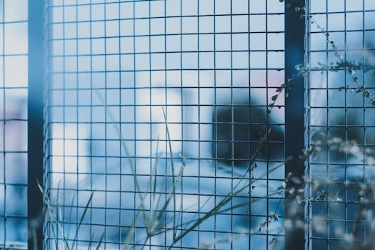 Thin delicate flower and grass growing in yard near metal grid fence in twilight