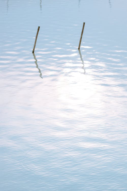 Wooden Sticks Above a Body of Water