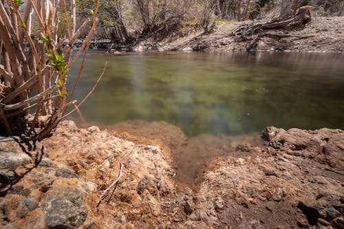 Fotos de stock gratuitas de agua, arboles, arroyo