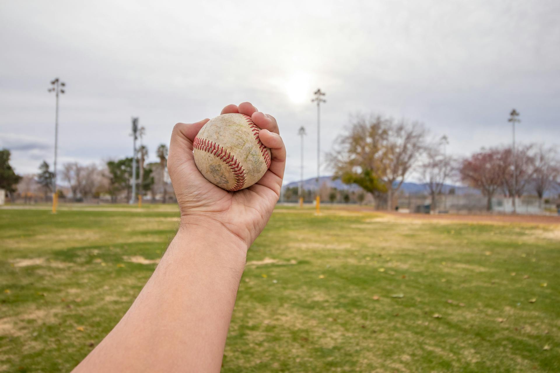 A Person Holding a Baseball Ball