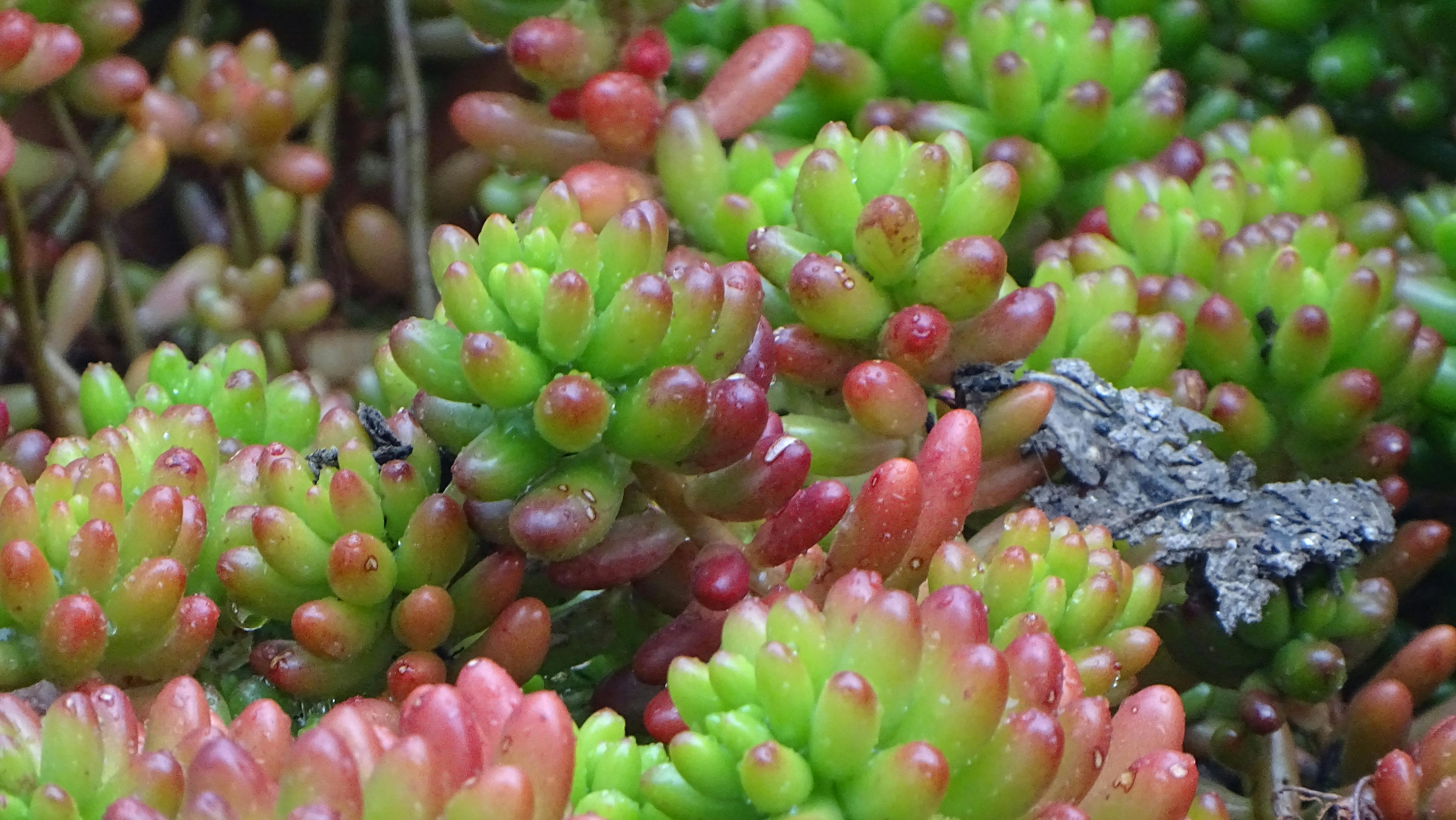 长沙信托公司如何用肇新智能文档比对比较扫描件合同的关键条款差异