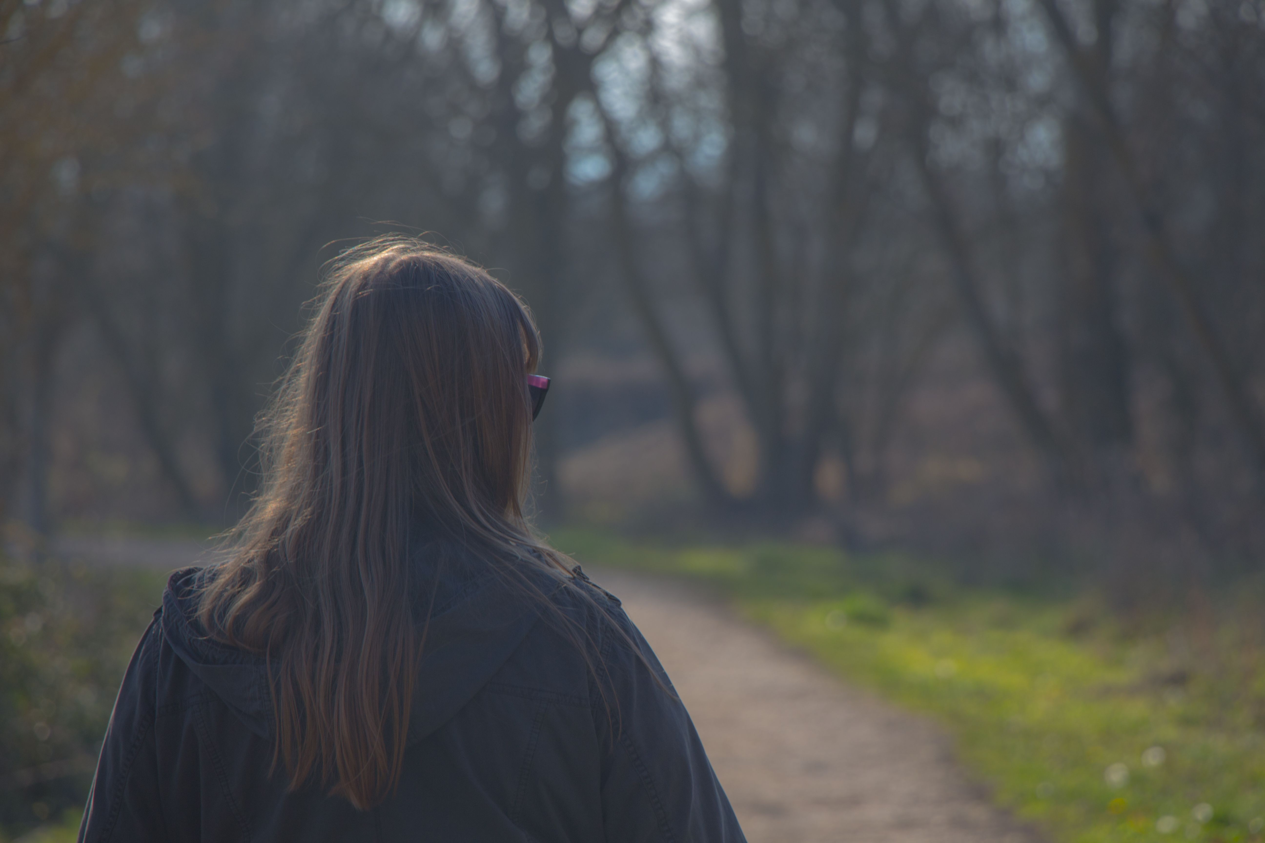 Free stock photo of back, walking, walkway