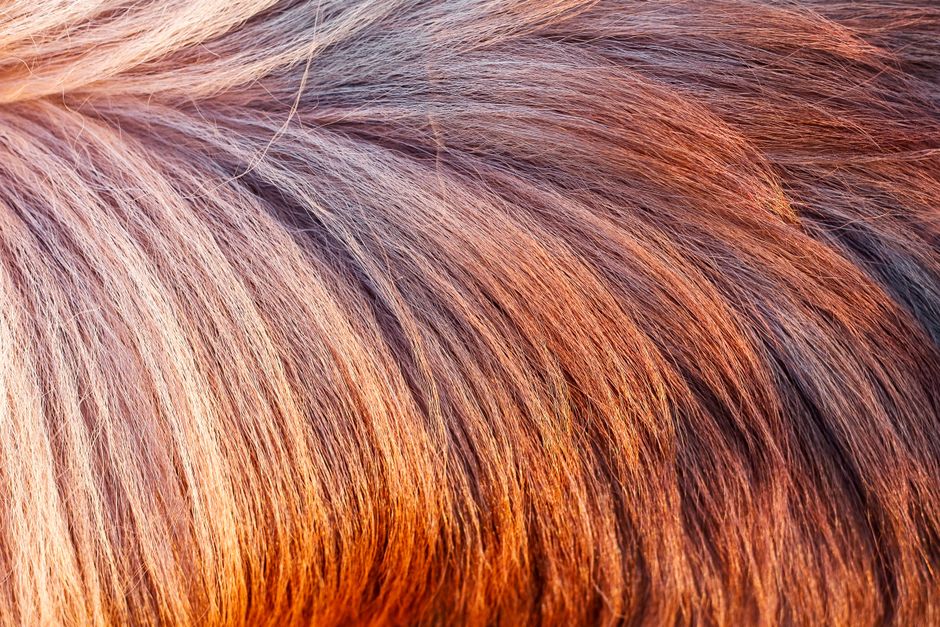 close-up texture hair types 3a to 4c comparison
