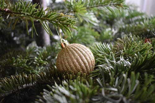 Foto profissional grátis de abeto, árvore de Natal, bola de Natal
