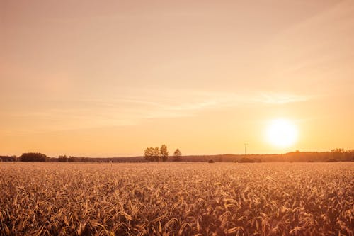 Kostenloses Stock Foto zu landschaften - natur