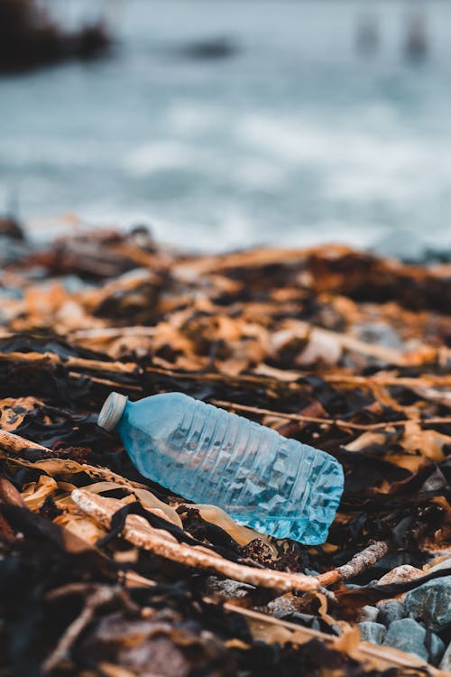 Free Blue Plastic Bottle on Brown Dried Leaves Stock Photo