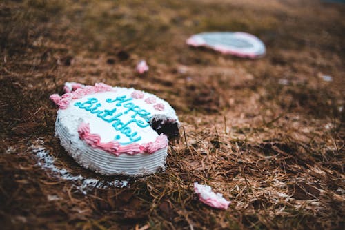 Free Happy Birthday Cake on Brown Dried Grass Stock Photo