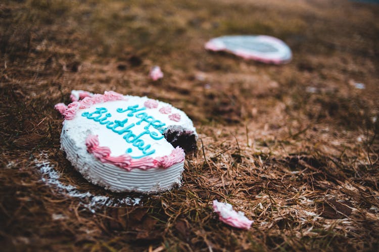 Happy Birthday Cake On Brown Dried Grass