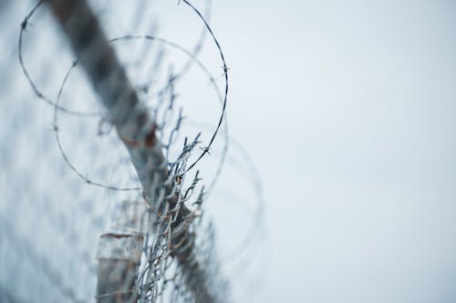 Free Wire Fence With Barbed Wire Stock Photo