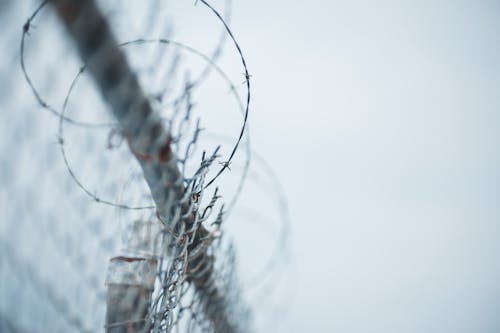 Wire Fence With Barbed Wire