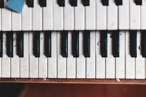 Free Black and White Piano Keys Stock Photo