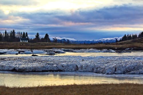 Snow Covered Field