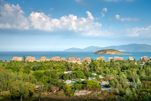 Green Trees and Beach Huts Near Body of Water