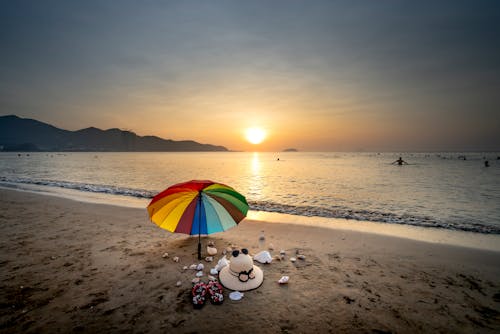 Free People on Beach during Sunset Stock Photo