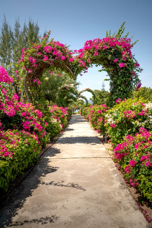 Free A vibrant pathway adorned with pink and green floral archways in a lush garden setting. Stock Photo