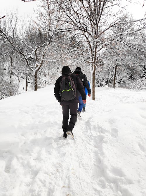 Person in Black Jacket Walking on Snow Covered Ground