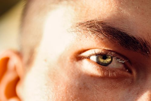 Free Macro shot of a person's eye highlighting the iris, eyelashes, and eyebrow. Stock Photo