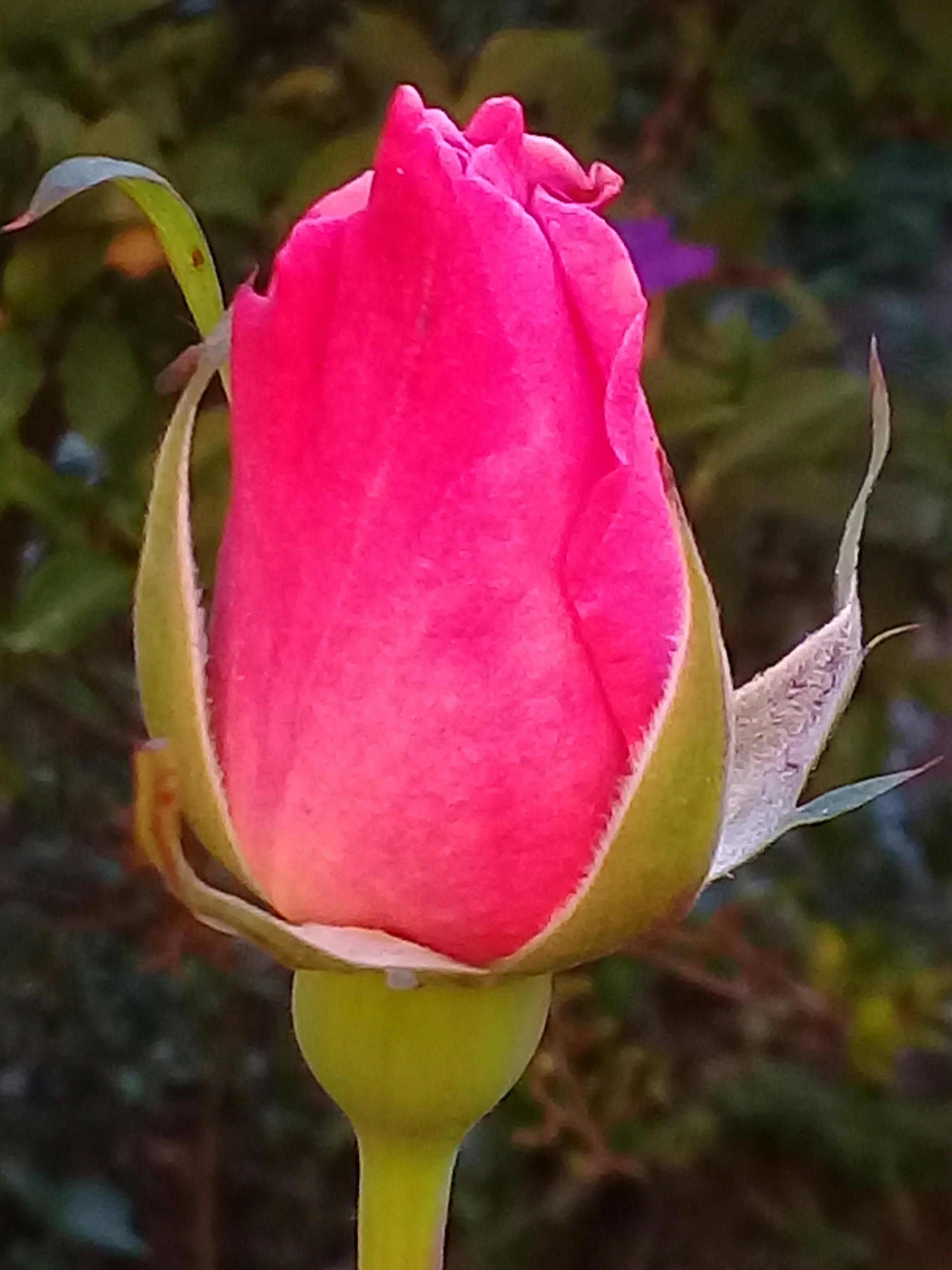 办公室内员工正在使用电脑进行文档比对