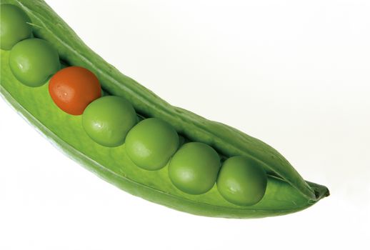 A striking close-up of a green pea pod with a standout red pea, symbolizing uniqueness.