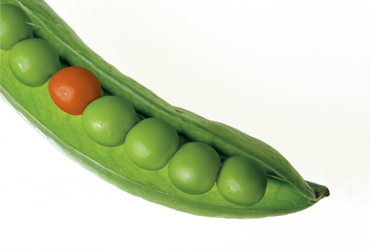 Close Up Photography Of Green Pea Pod