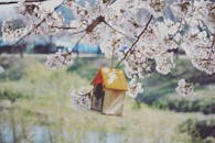 在阳光明媚的春日草地上，一座木制鸟舍悬挂在盛开树木的树枝上，鸟舍有着黄色的屋顶