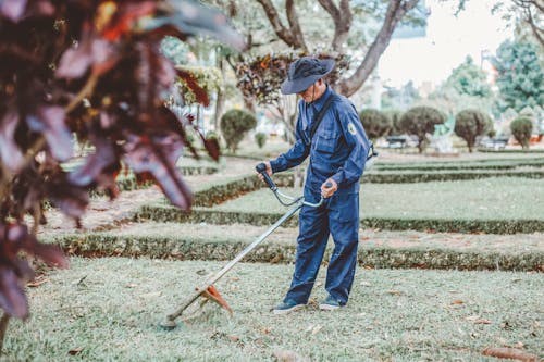 Foto stok gratis bekerja, buruh, dewasa