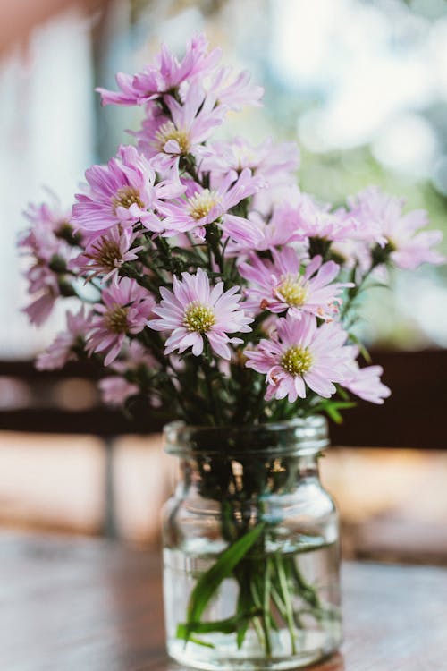 Purple Flowers in Clear Glass Jar