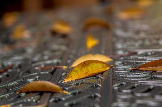 Detailed view of fallen autumn leaves on an ornate metal surface, capturing the season's essence.