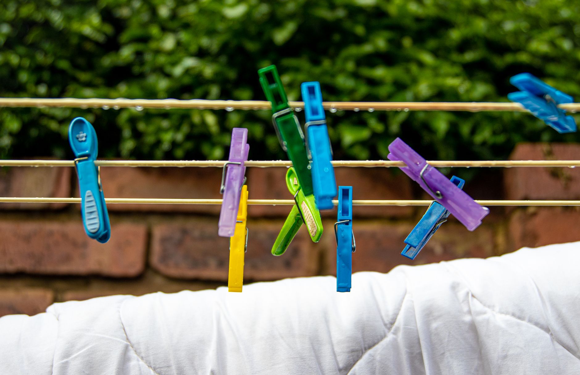 Vibrant clothespins hang a white quilt on an outdoor clothesline, capturing a fresh morning scene.