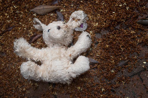 Free White Stuffed Toy Lying on Brown Soil Stock Photo