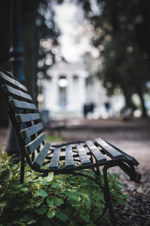 Green Grass Under Black Bench