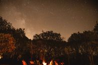 篝火在森林的星空下，夜色宁静