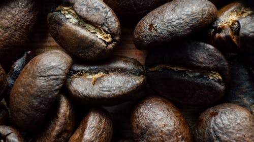 Free Brown and Black Coffee Beans Stock Photo