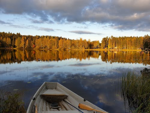 White Boat on Lake Near Green Trees Under White Clouds