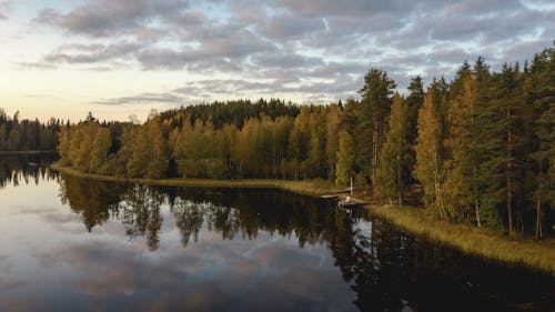 Základová fotografie zdarma na téma dům u jezera, Finsko, jehličnan