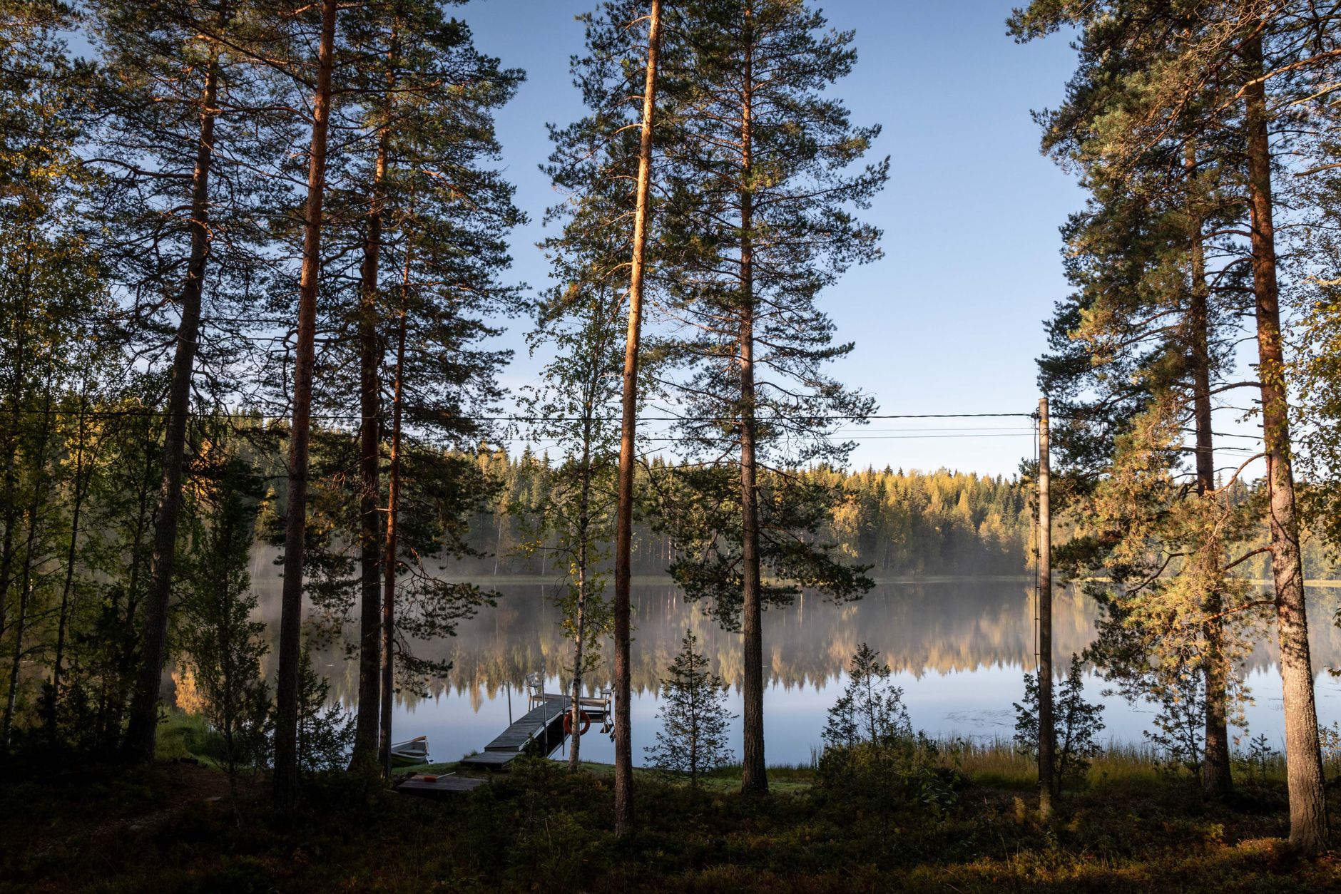 A tranquil Finnish lake surrounded by tall pines reflecting in the calm water, showcasing a serene natural landscape.