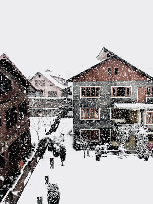 Snowy yard of houses during wintertime