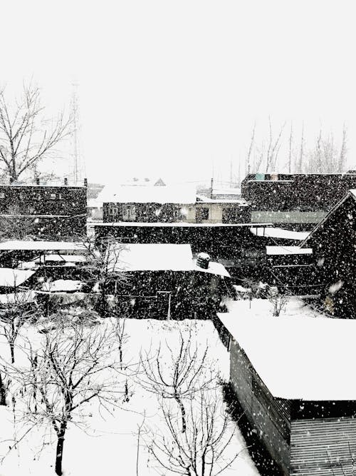 Small houses and leafless trees located in village covered with snow against cloudy sky on winter day