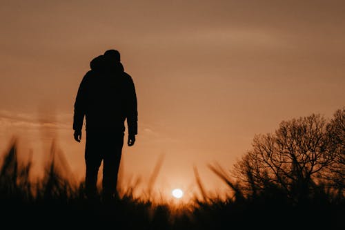 Back View of Person Looking at Sunset