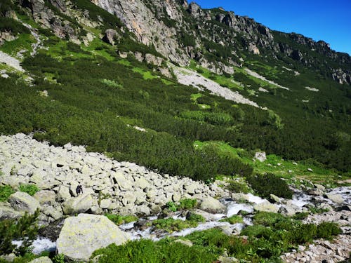 Imagine de stoc gratuită din fotografie cu natură, frumusețe în natură, munte