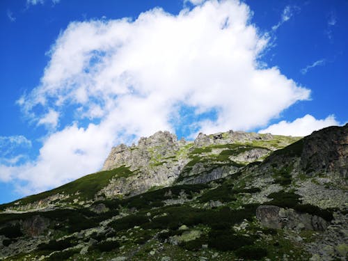 Gratis arkivbilde med naturfotografi, skjønnhet i naturen