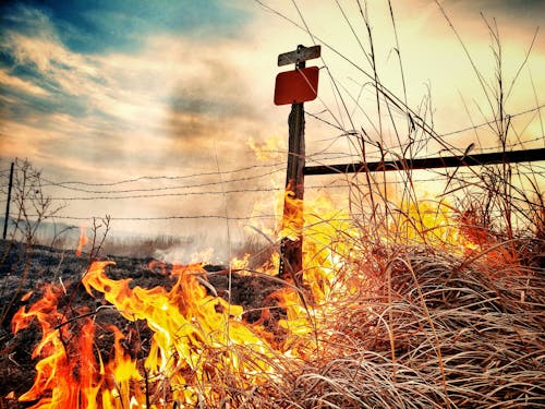 Fotos de stock gratuitas de alambre de espino, ardiente, campo