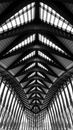 Black Metal Frame Glass Roof