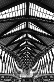 Striking black and white photo of Lyon-Saint Exupery Airport's modern architecture.