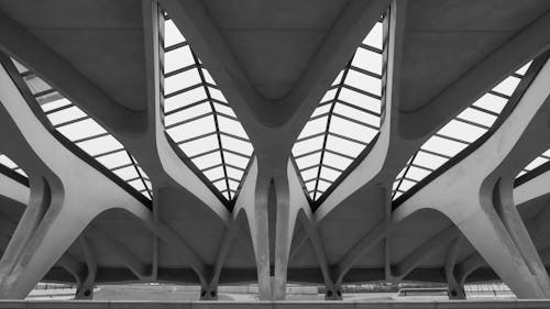 Grayscale Photo of a Train Station Roofing in Lyon France