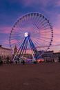 People Walking on Park With Ferris Wheel in Background